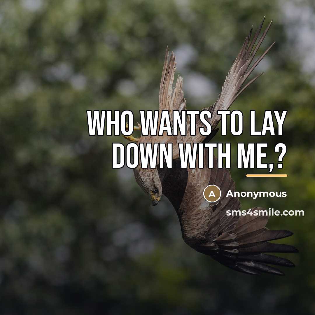 “Who wants to lay down with me,?…” quote by Anonymous