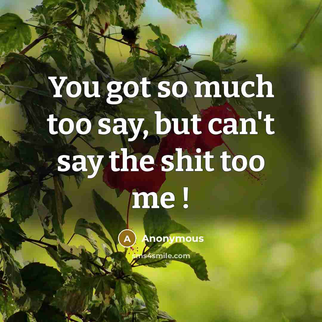 “You got so much too say, but can't say the shit too me !” quote by Anonymous