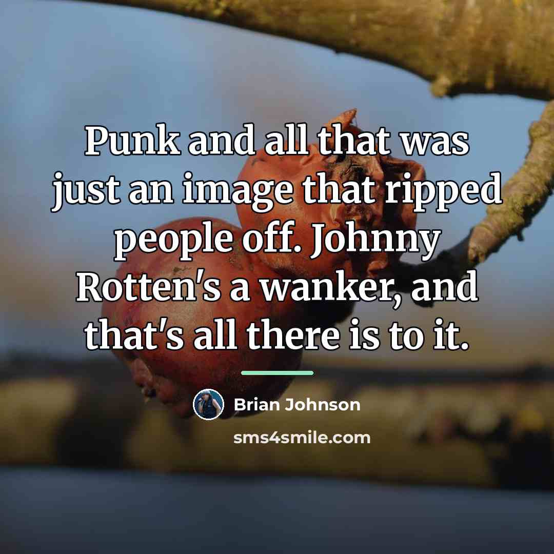 “Punk and all that was just an image that ripped…” quote by Brian Johnson