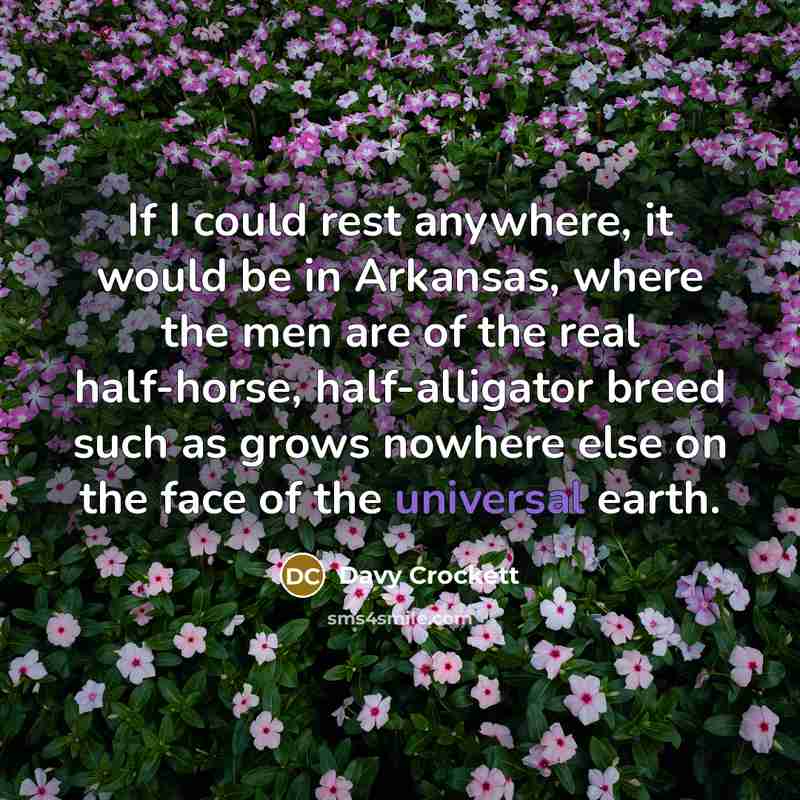 “If I could rest anywhere, it would be in Arkansas,…” quote by Davy Crockett