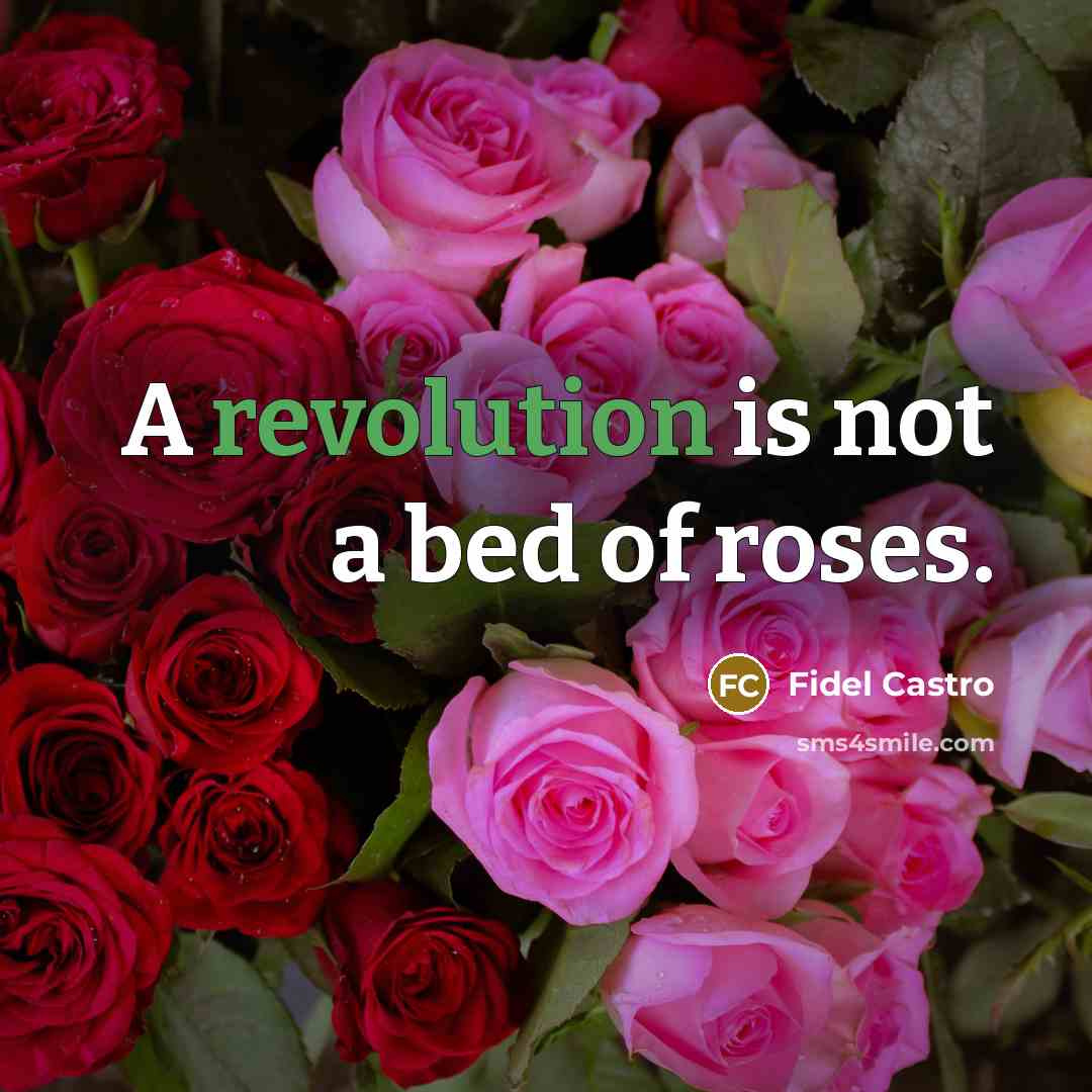 “A revolution is not a bed of roses.…” quote by Fidel Castro