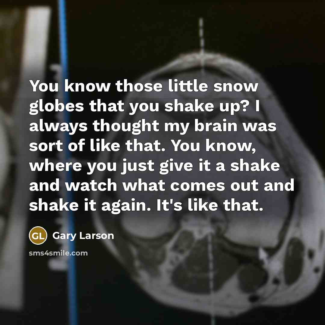 “You know those little snow globes that you shake up?…” quote by Gary Larson