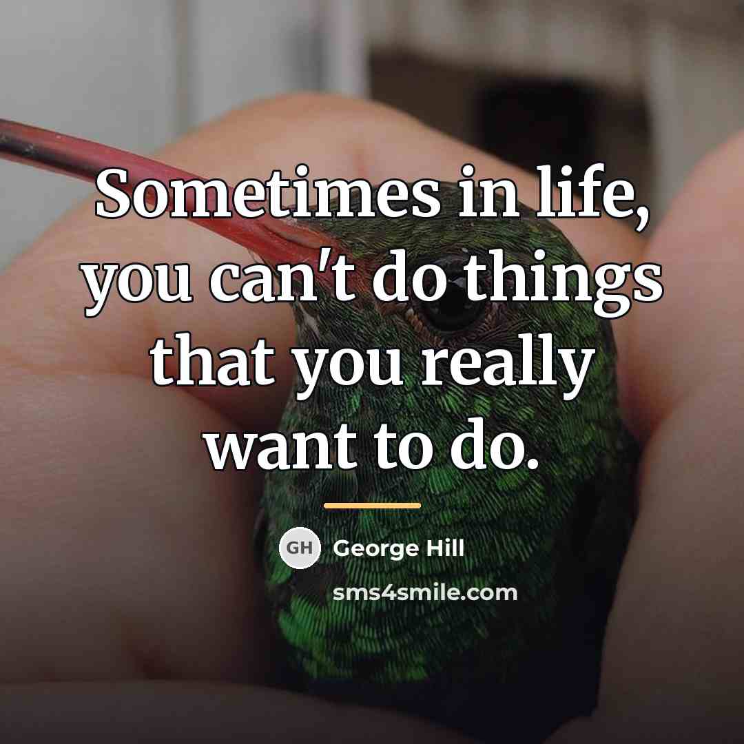 “Sometimes in life, you can't do things that you really…” quote by George Hill