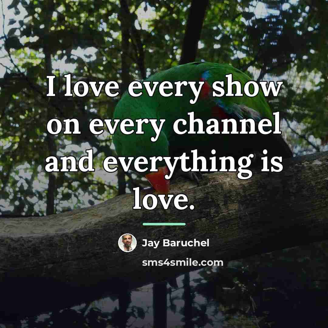 “I love every show on every channel and everything is…” quote by Jay Baruchel
