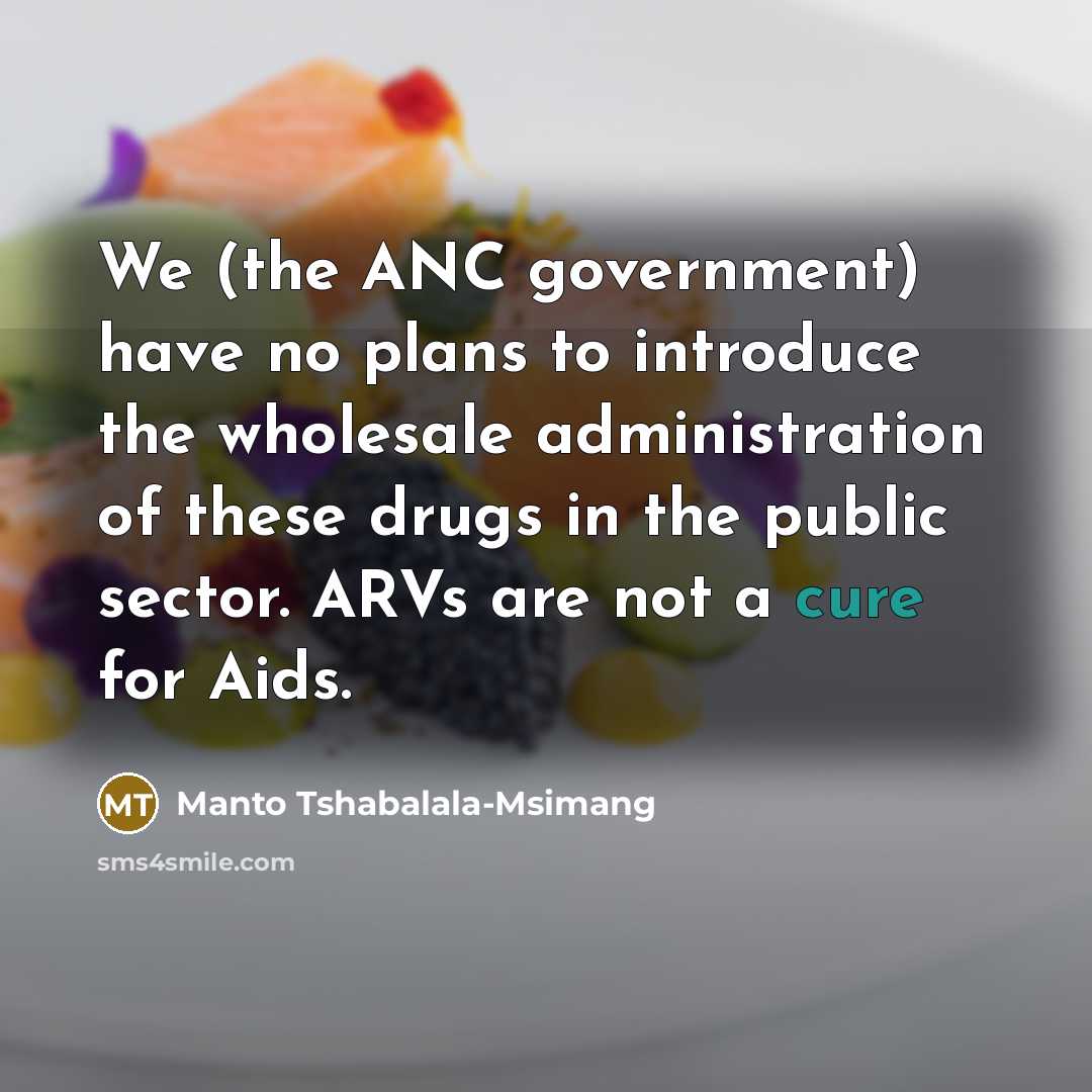 “We (the ANC government) have no plans to introduce the…” quote by Manto Tshabalala-Msimang