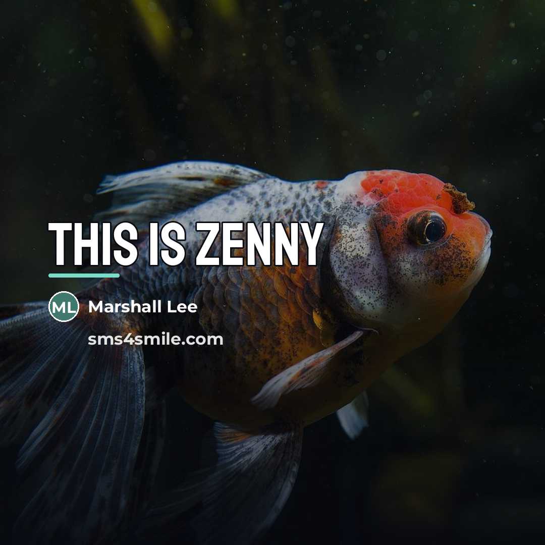 “This is zenny…” quote by Marshall Lee