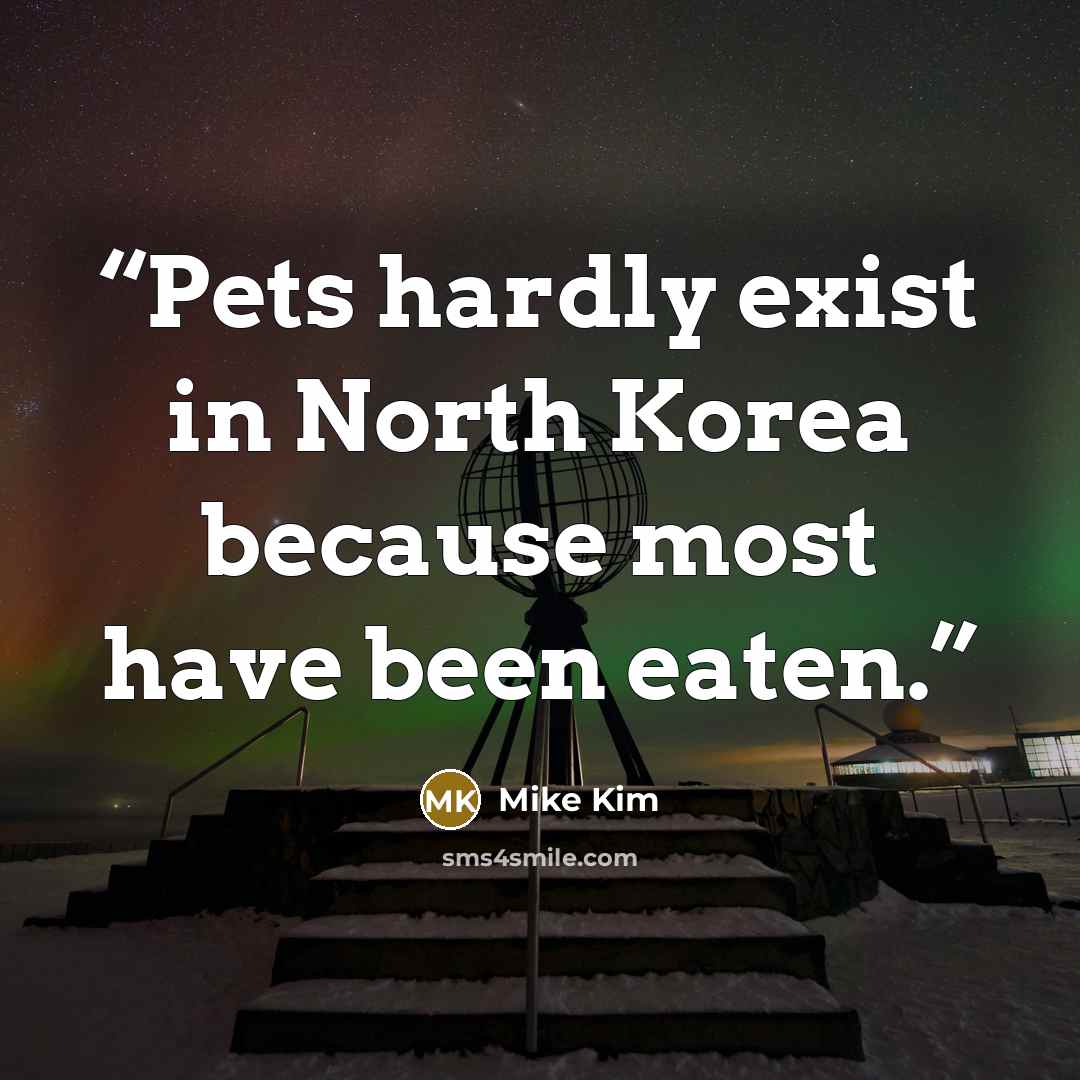 “Pets hardly exist in North Korea because most have been eaten.” quote by Mike Kim