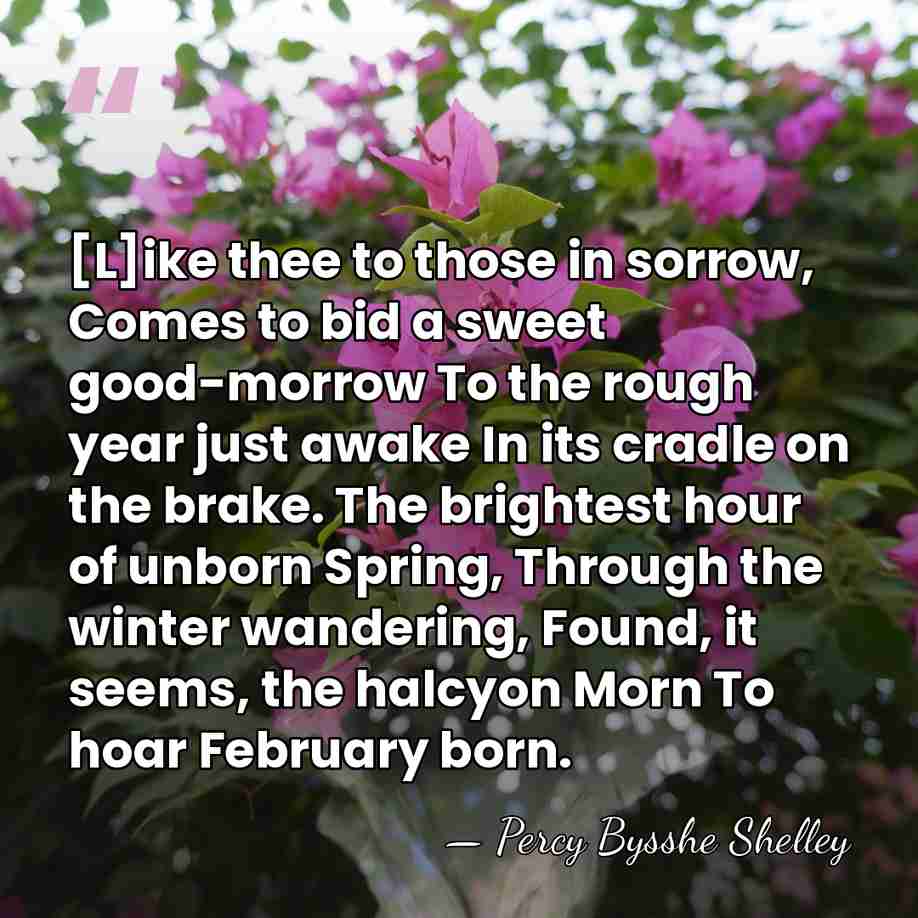 [L]ike thee to those in sorrow, Comes to bid a sweet good-morrow&hellip; - Percy Bysshe Shelley