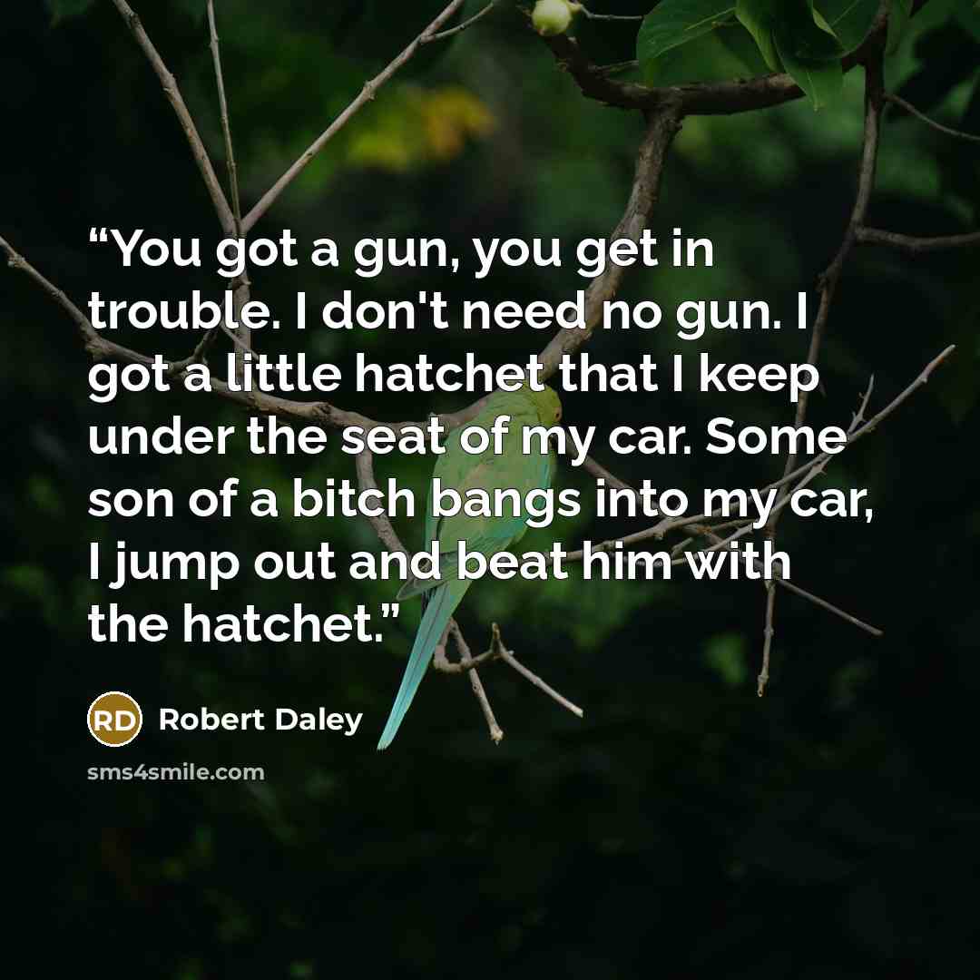 “You got a gun, you get in trouble. I don't need no gun. I got a little hatchet that I keep under the seat of my car. Some son of a bitch bangs into my car, I jump out and beat him with the hatchet.” quote by Robert Daley