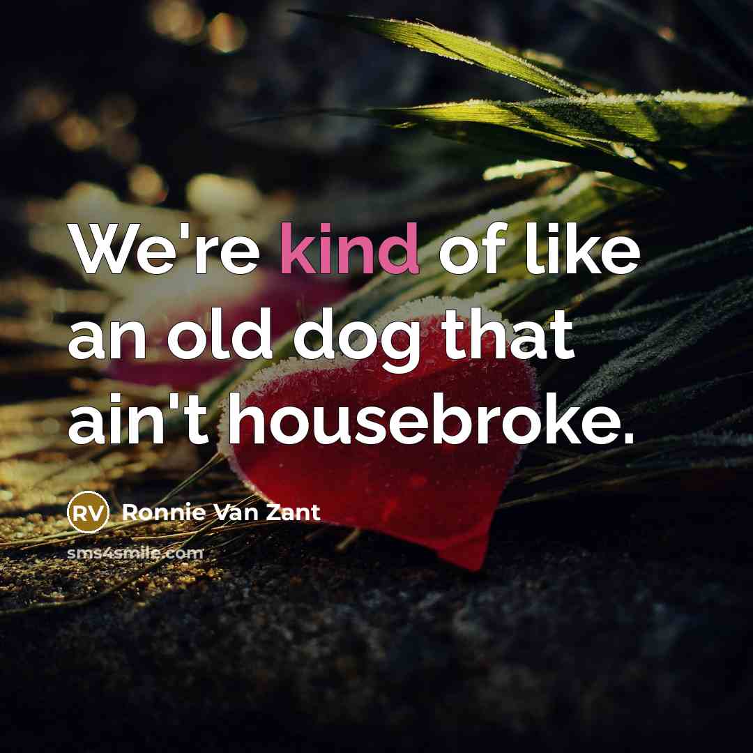 “We're kind of like an old dog that ain't housebroke.…” quote by Ronnie Van Zant