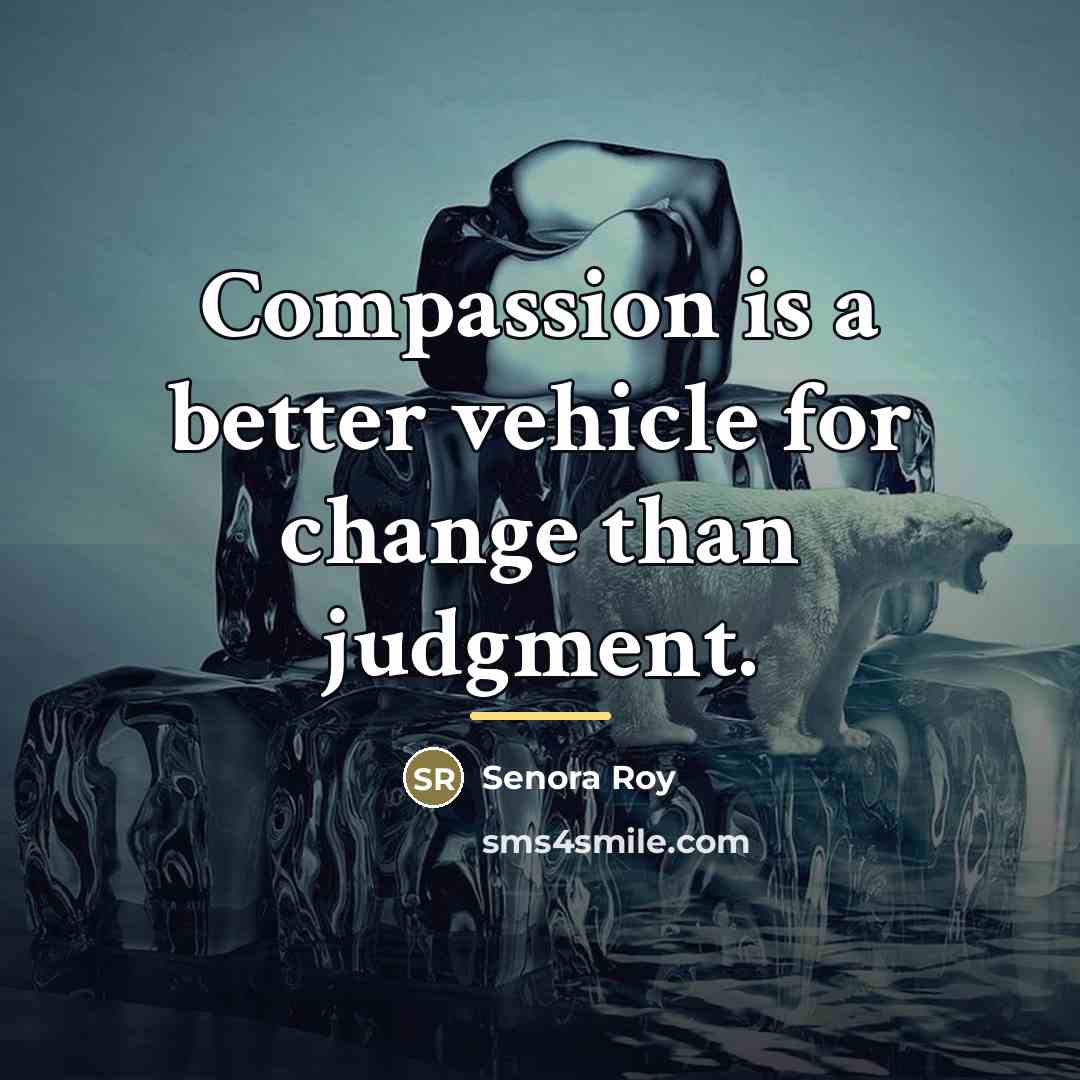 “Compassion is a better vehicle for change than judgment.…” quote by Senora Roy