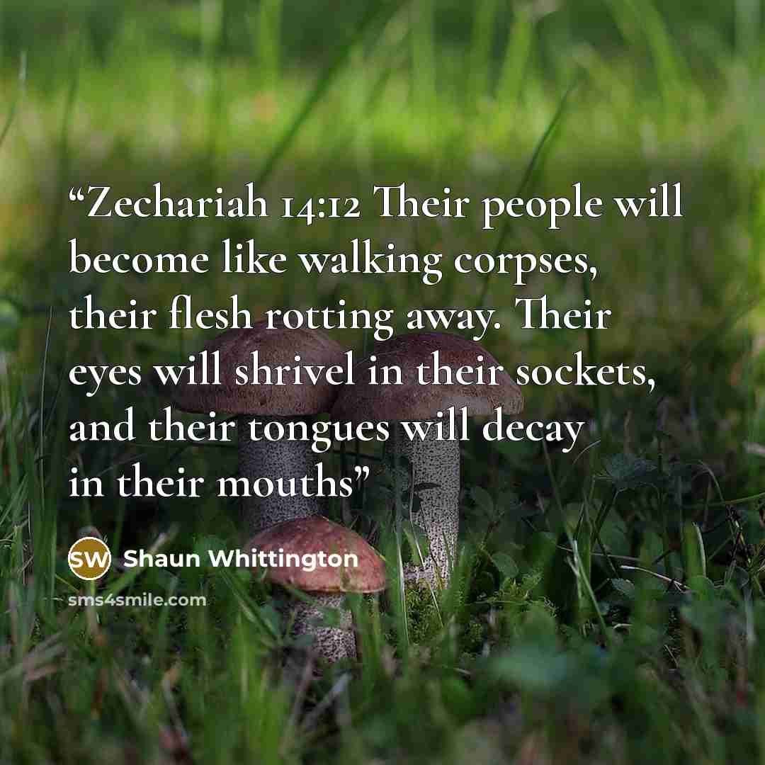 “Zechariah 14:12 Their people will become like walking corpses, their flesh rotting away. Their eyes will shrivel in their sockets, and their tongues will decay in their mouths” quote by Shaun Whittington