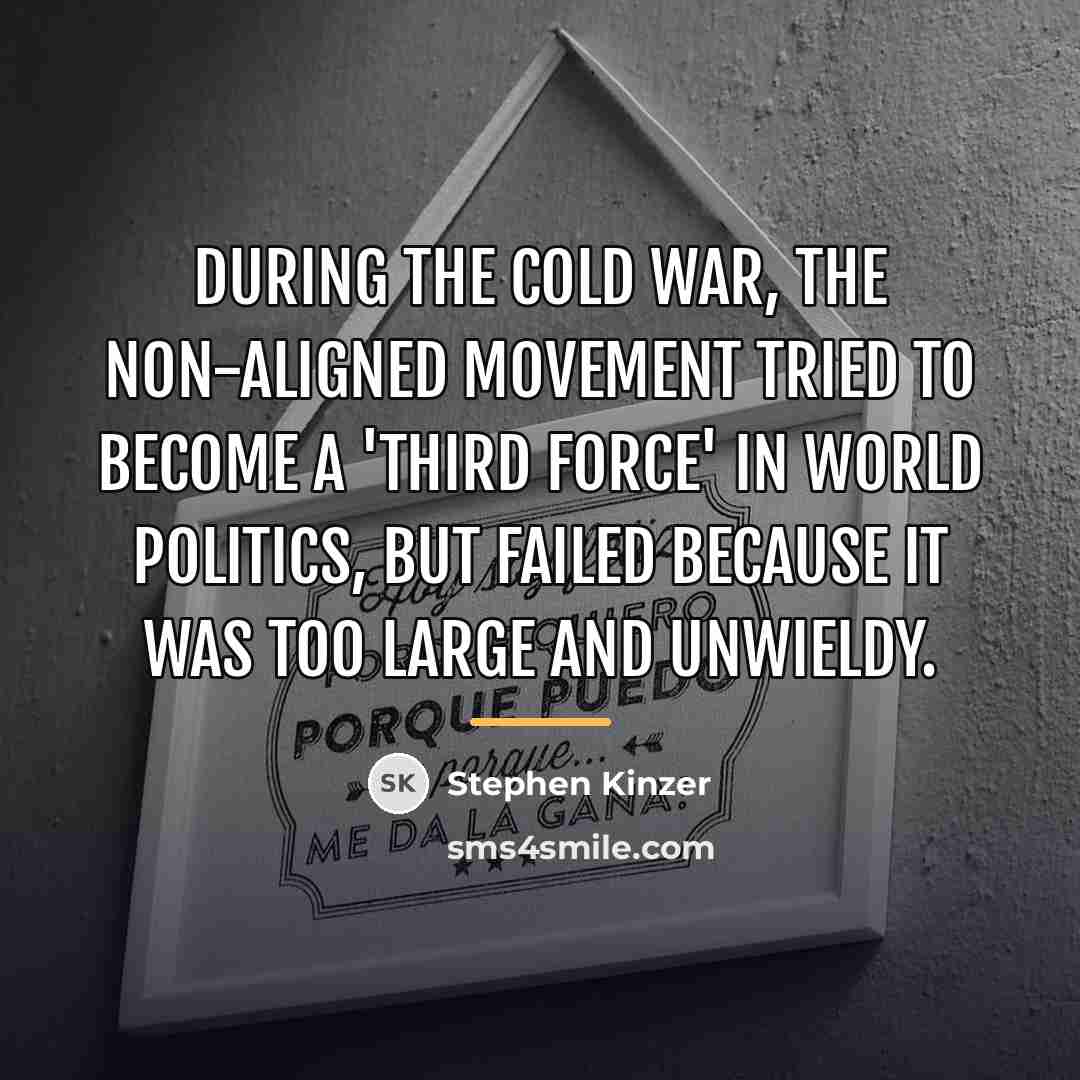 “During the Cold War, the non-aligned movement tried to become…” quote by Stephen Kinzer