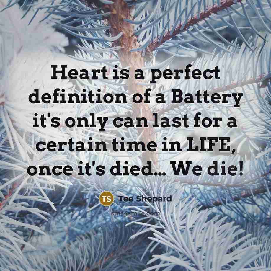 “Heart is a perfect definition of a Battery it's only…” quote by Tee Shepard
