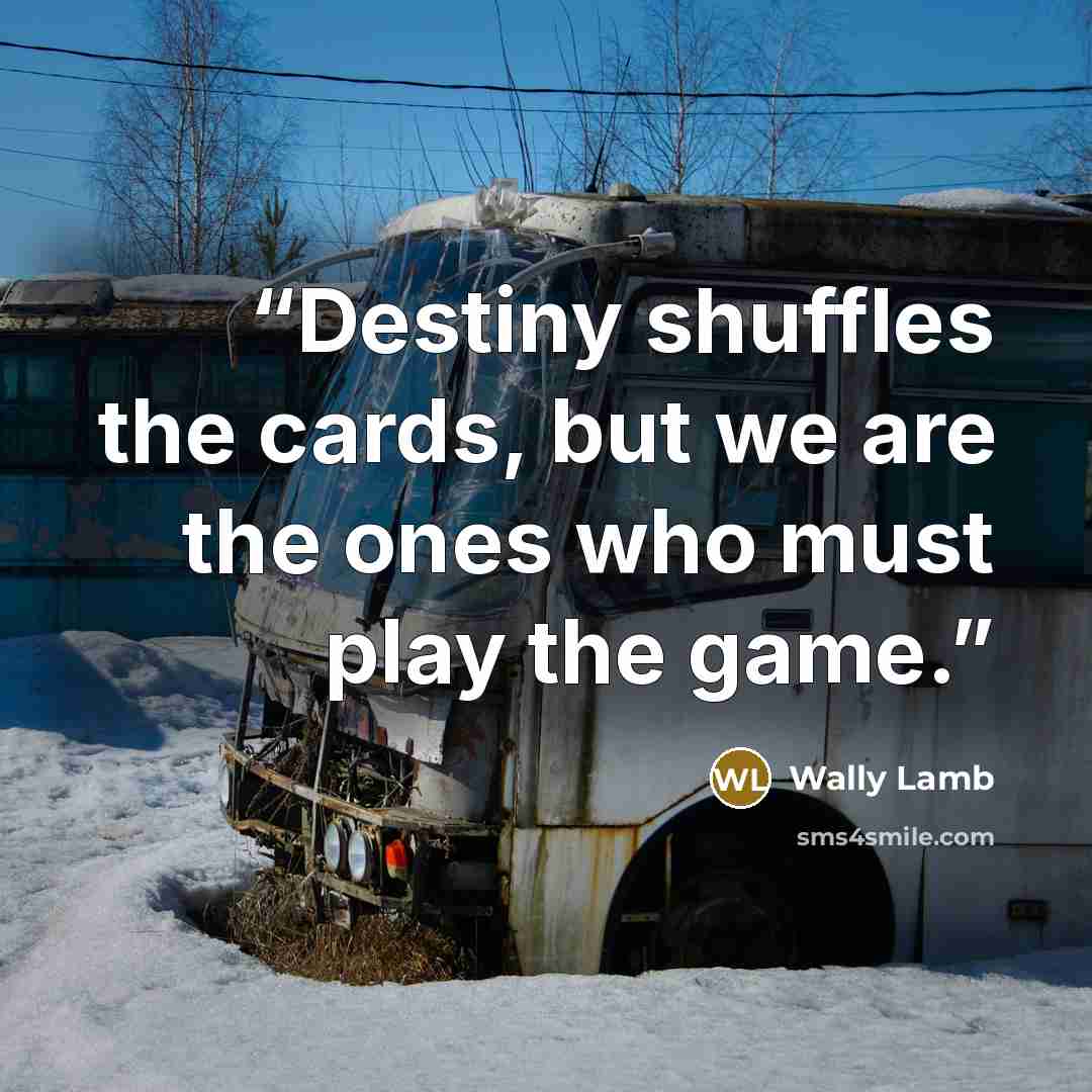 “Destiny shuffles the cards, but we are the ones who must play the game.” quote by Wally Lamb