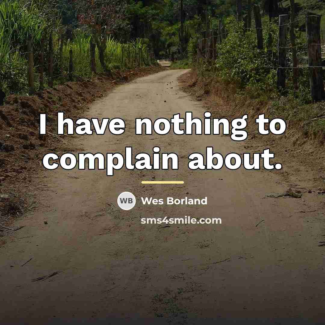 “I have nothing to complain about.…” quote by Wes Borland