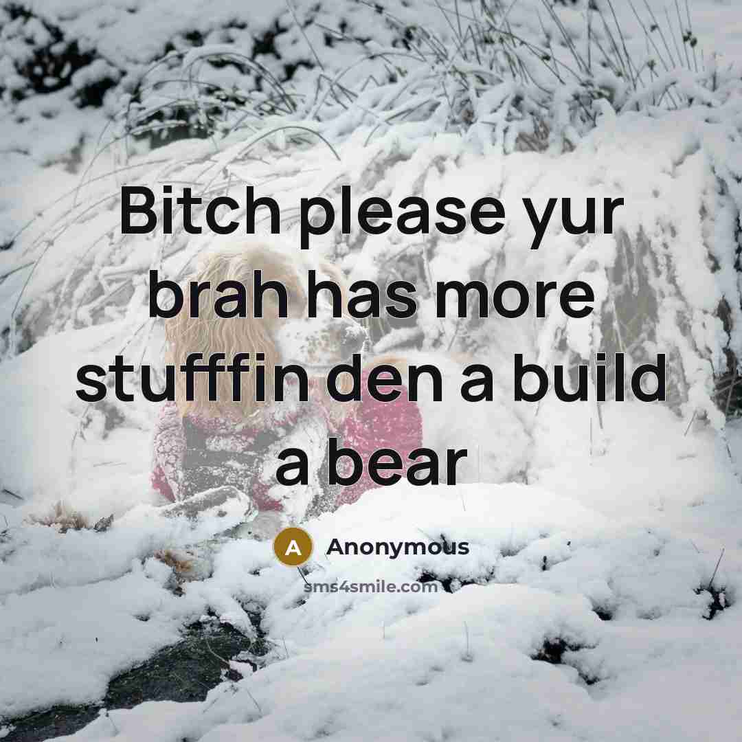 “Bitch please yur brah has more stufffin den a build a bear” quote by Anonymous