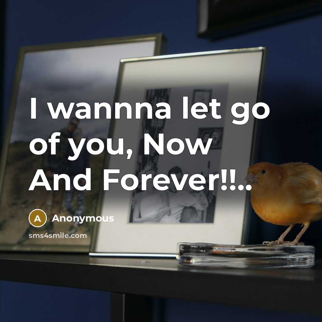 “I wannna let go of you, Now And Forever!!..” quote by Anonymous