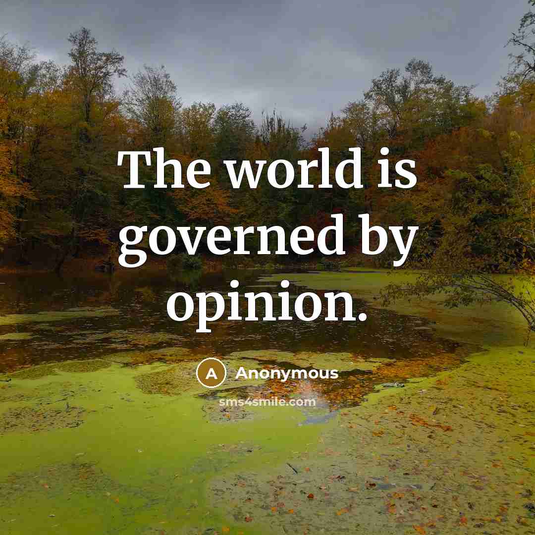 “The world is governed by opinion.” quote by Anonymous