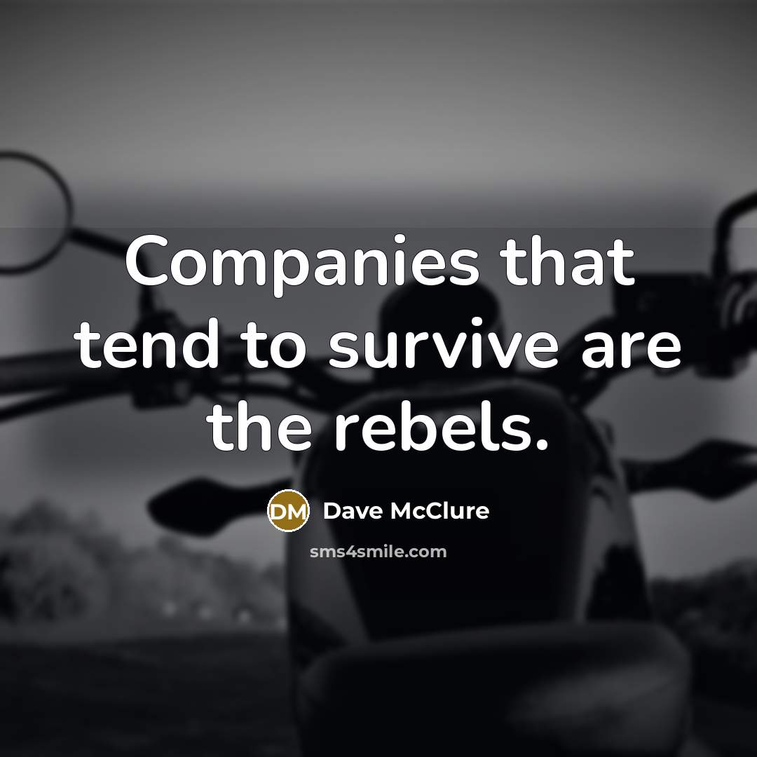 “Companies that tend to survive are the rebels.…” quote by Dave McClure