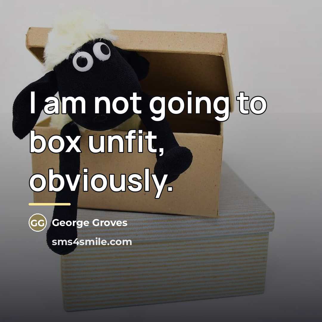 “I am not going to box unfit, obviously.…” quote by George Groves