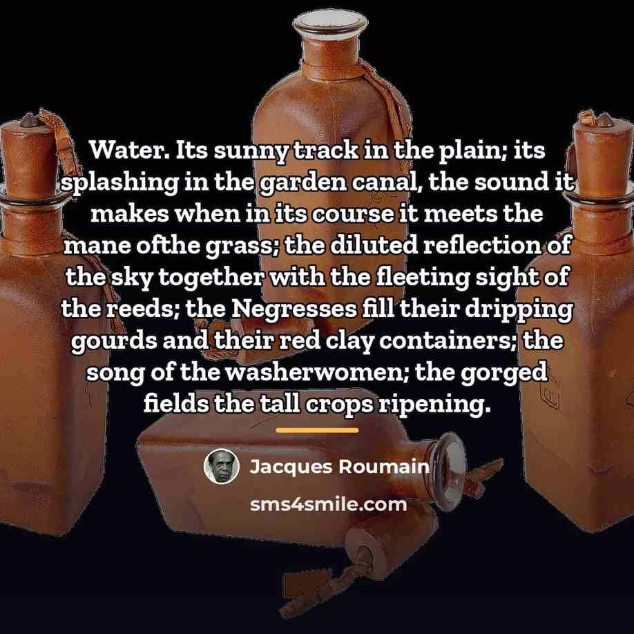 “Water. Its sunny track in the plain; its splashing in…” quote by Jacques Roumain