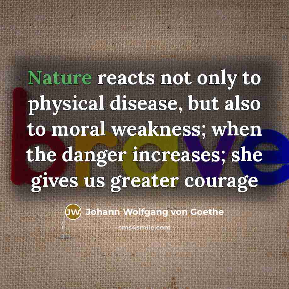 “Nature reacts not only to physical disease, but also to…” quote by Johann Wolfgang von Goethe