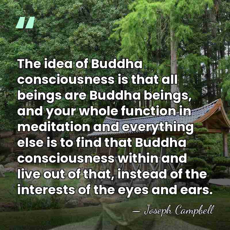 The idea of Buddha consciousness is that all beings are Buddha beings,&hellip; - Joseph Campbell