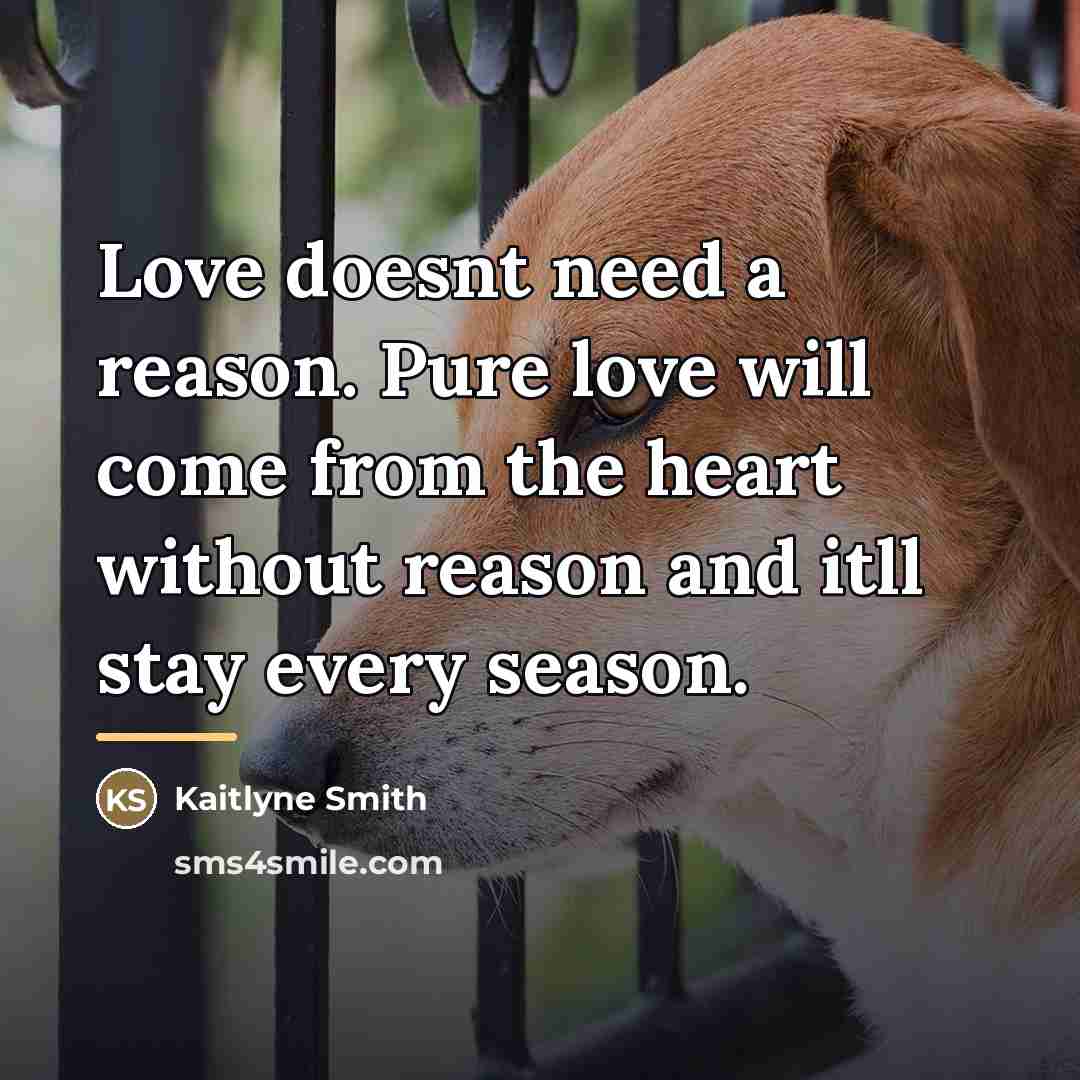 “Love doesnt need a reason. Pure love will come from…” quote by Kaitlyne Smith