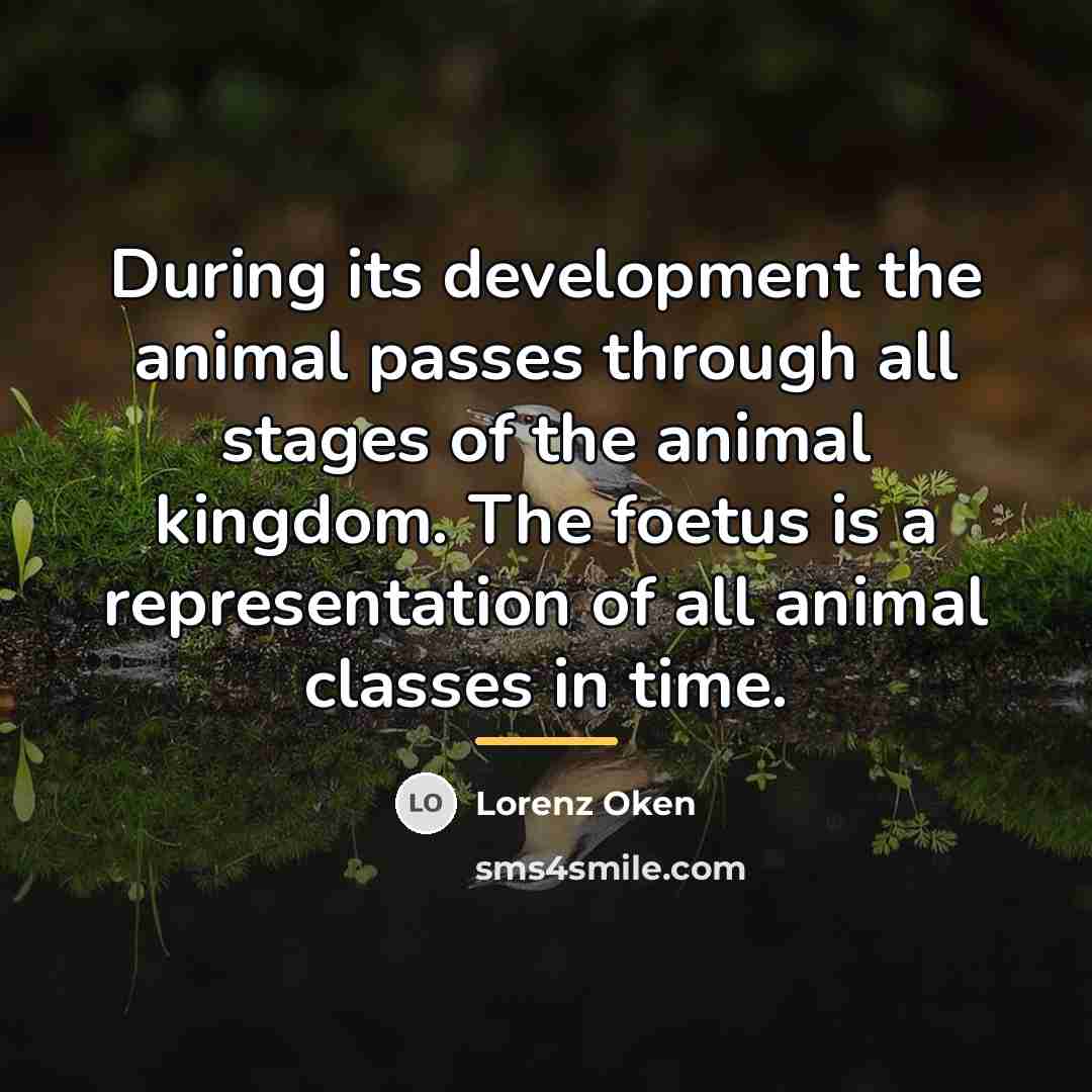“During its development the animal passes through all stages of…” quote by Lorenz Oken