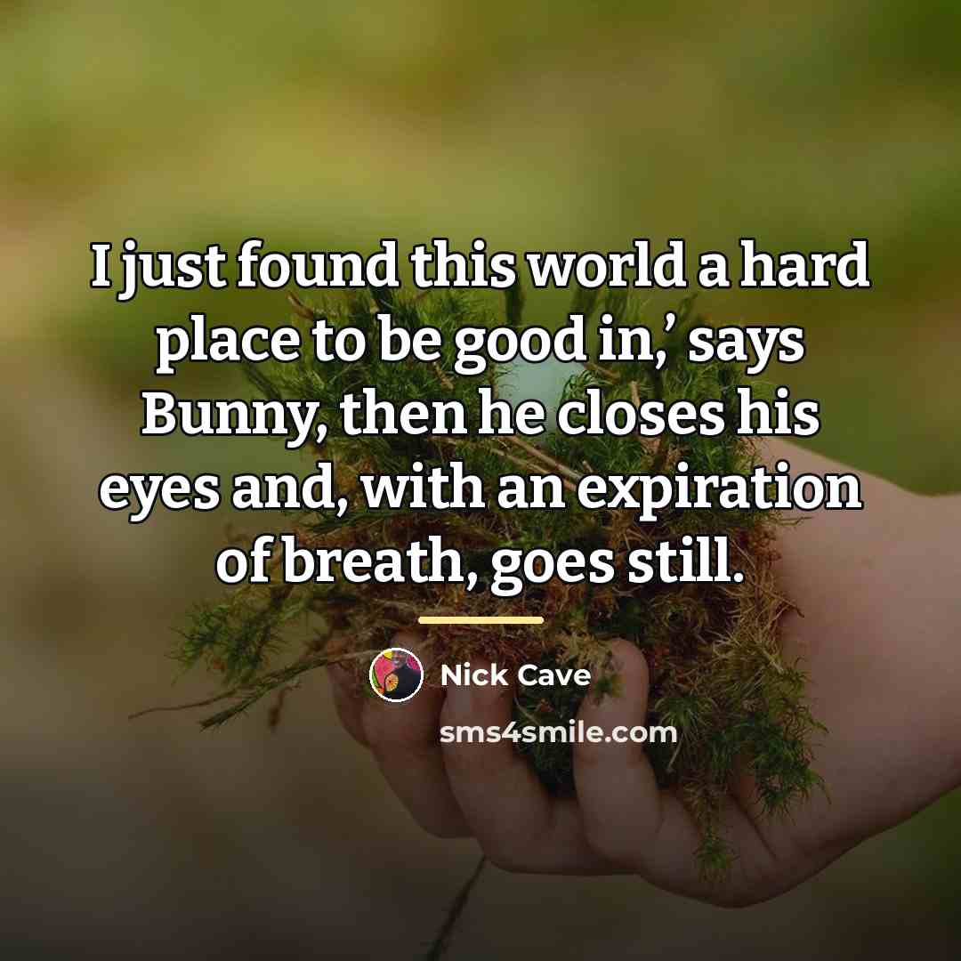 “I just found this world a hard place to be…” quote by Nick Cave