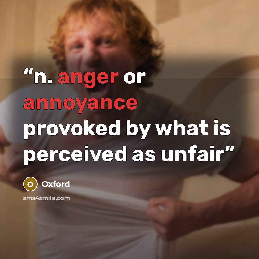 “n. anger or annoyance provoked by what is perceived as unfair” quote by Oxford