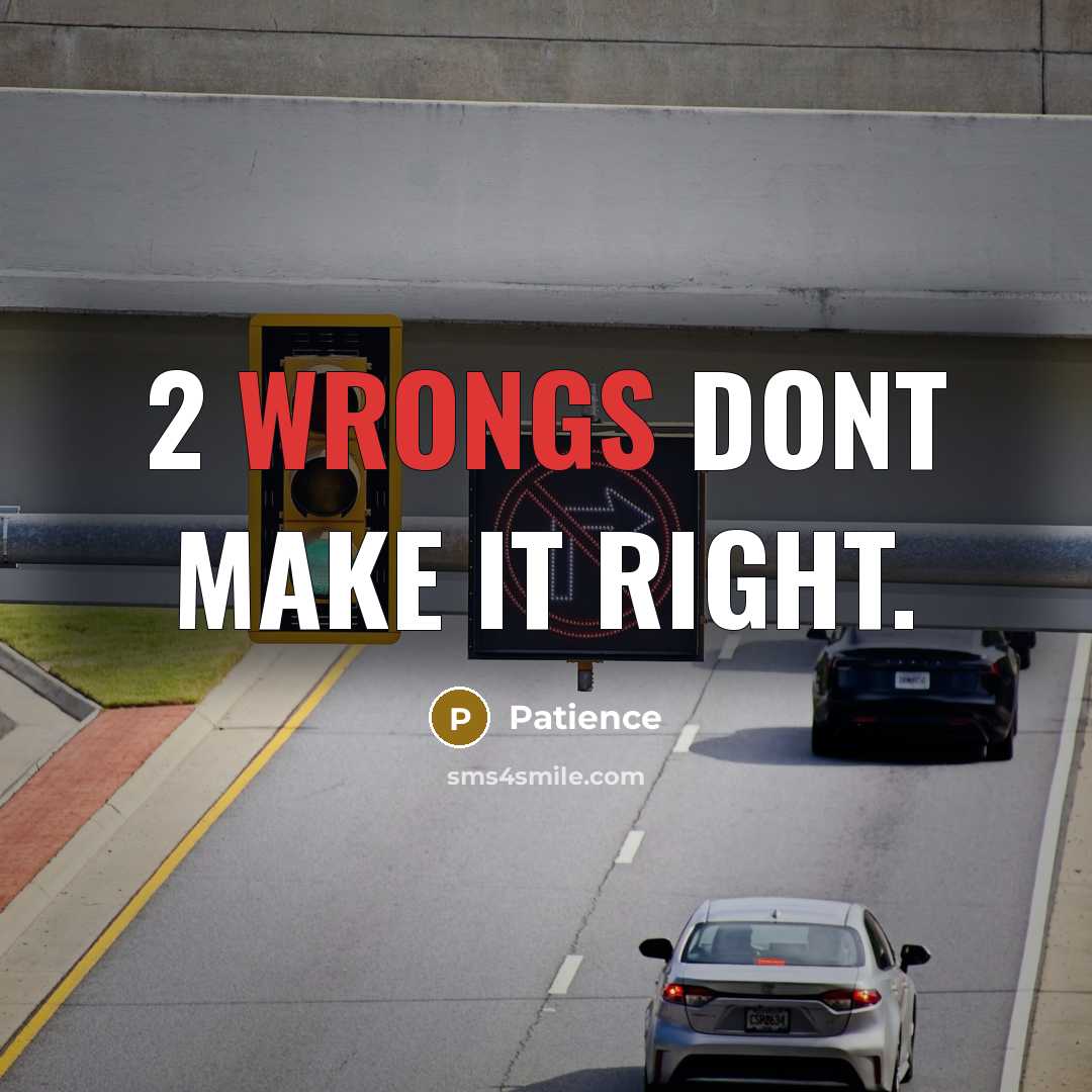 “2 wrongs dont make it right.” quote by Patience