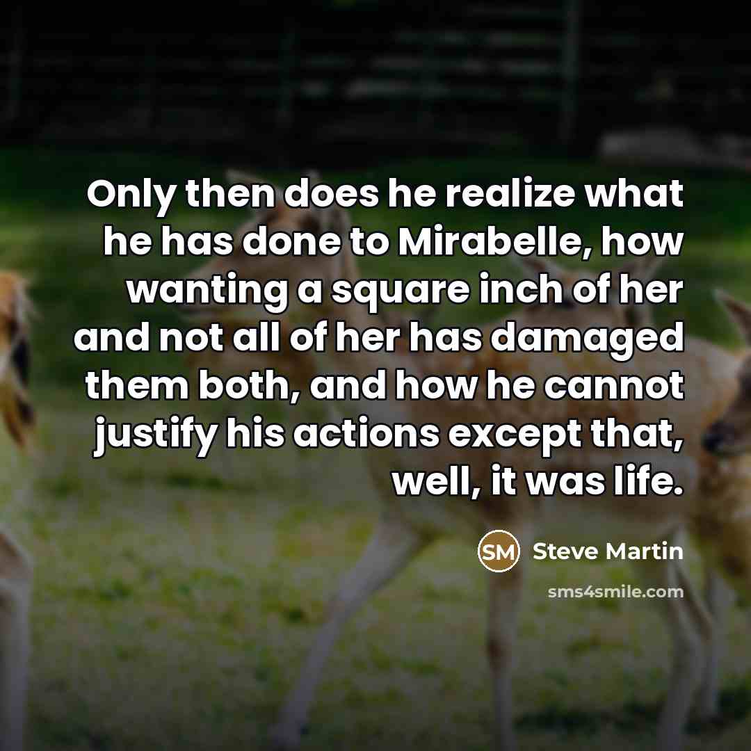 “Only then does he realize what he has done to…” quote by Steve Martin