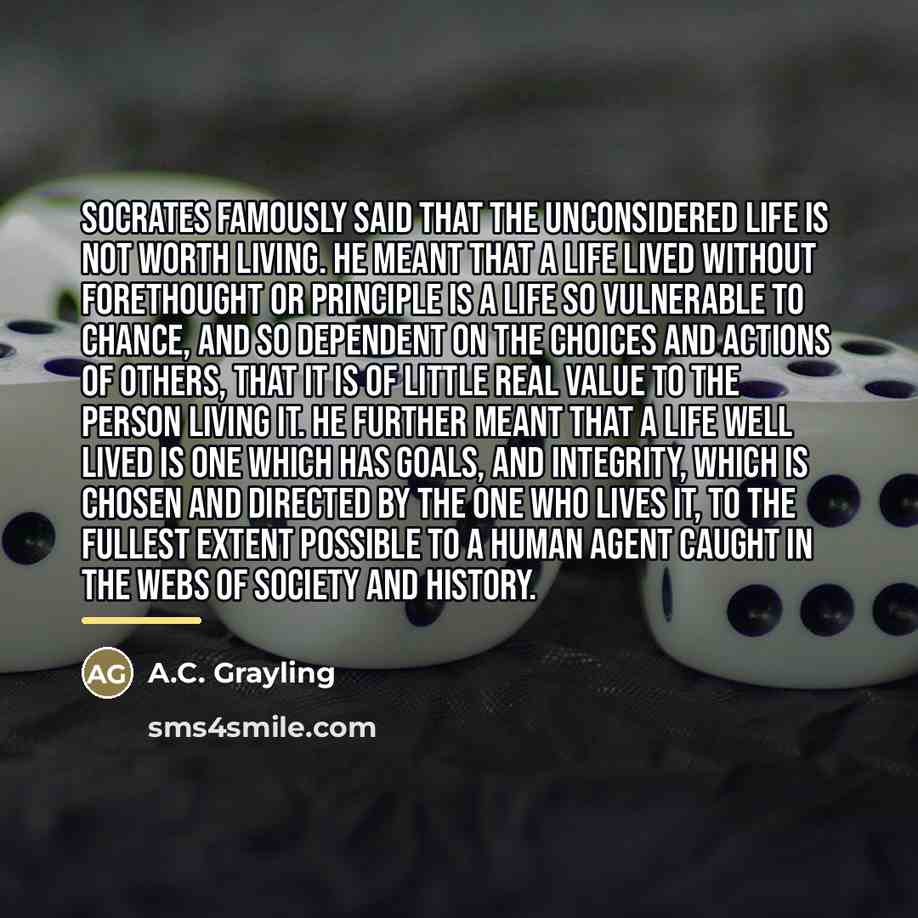 “Socrates famously said that the unconsidered life is not worth…” quote by A.C. Grayling
