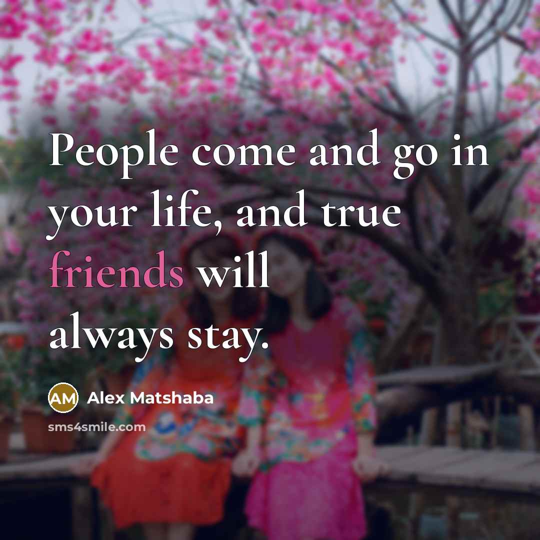 “People come and go in your life, and true friends will always stay.” quote by Alex Matshaba