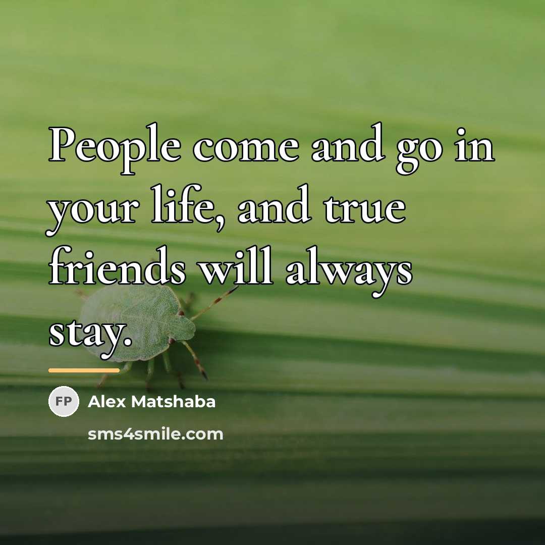 “People come and go in your life, and true friends…” quote by Alex Matshaba