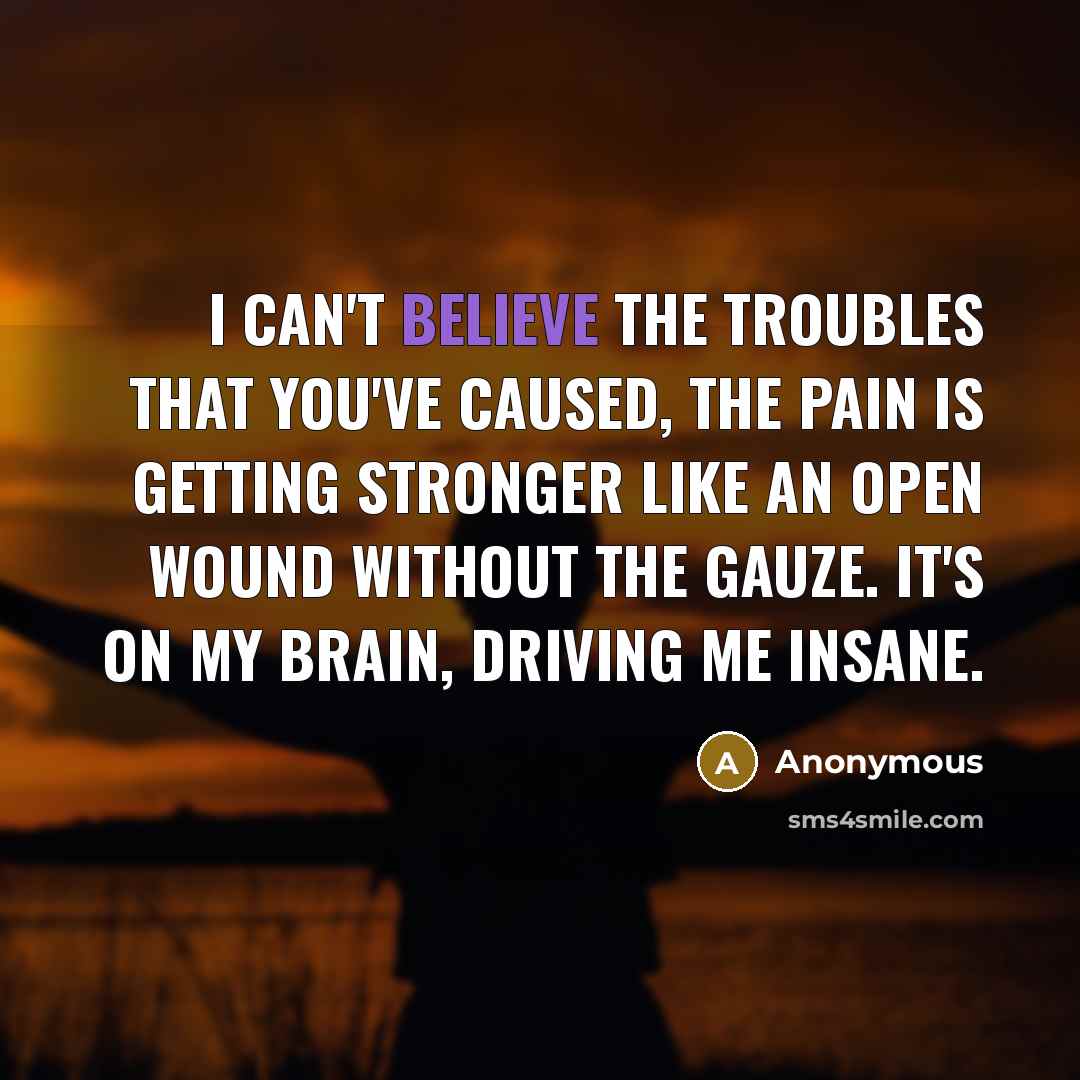“I can't believe the troubles that you've caused, the pain…” quote by Anonymous