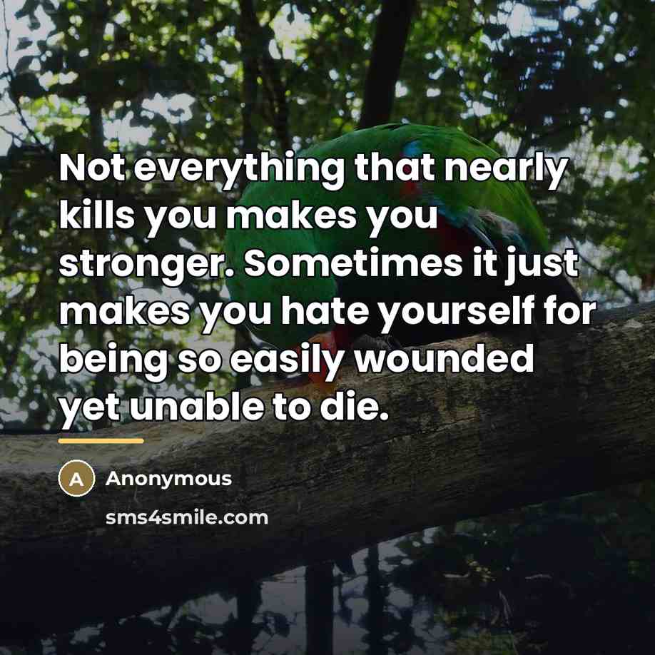“Not everything that nearly kills you makes you stronger. Sometimes…” quote by Anonymous