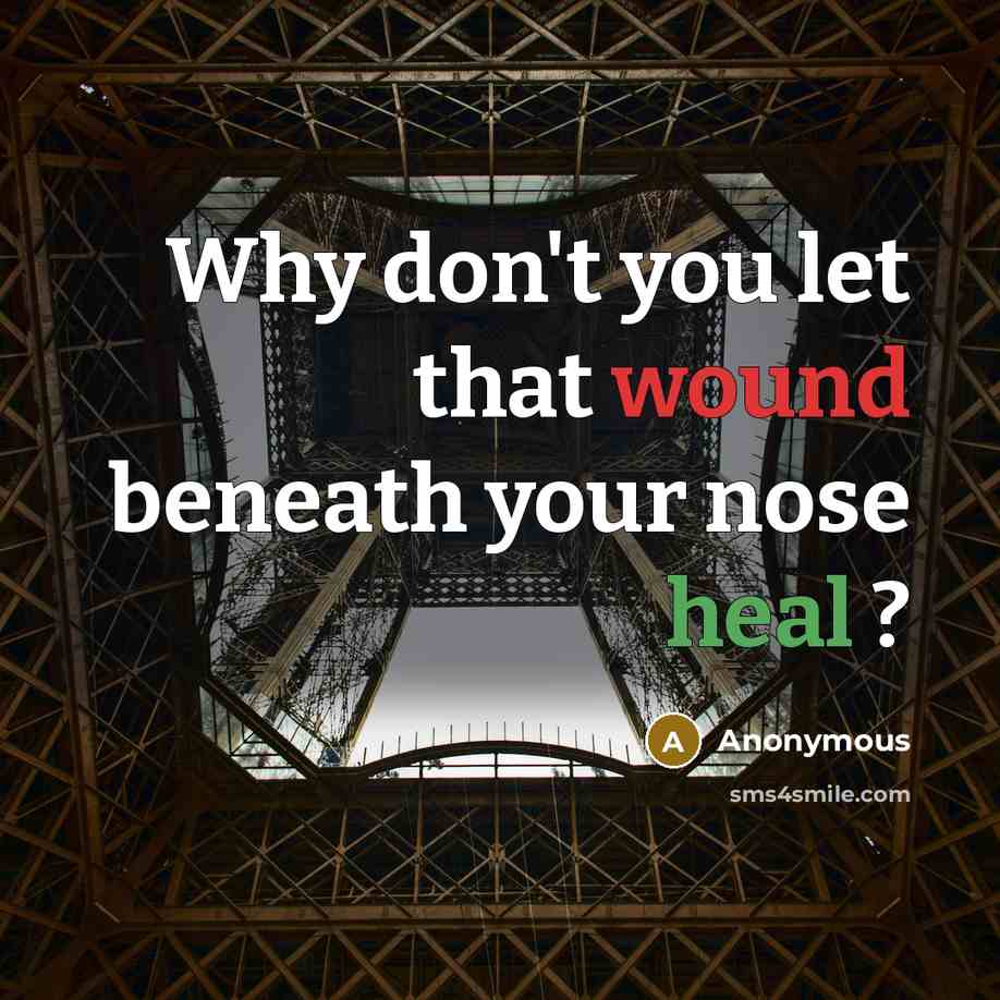 “Why don't you let that wound beneath your nose heal…” quote by Anonymous