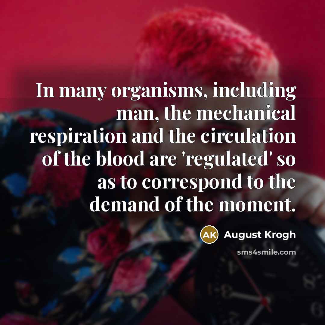 “In many organisms, including man, the mechanical respiration and the…” quote by August Krogh