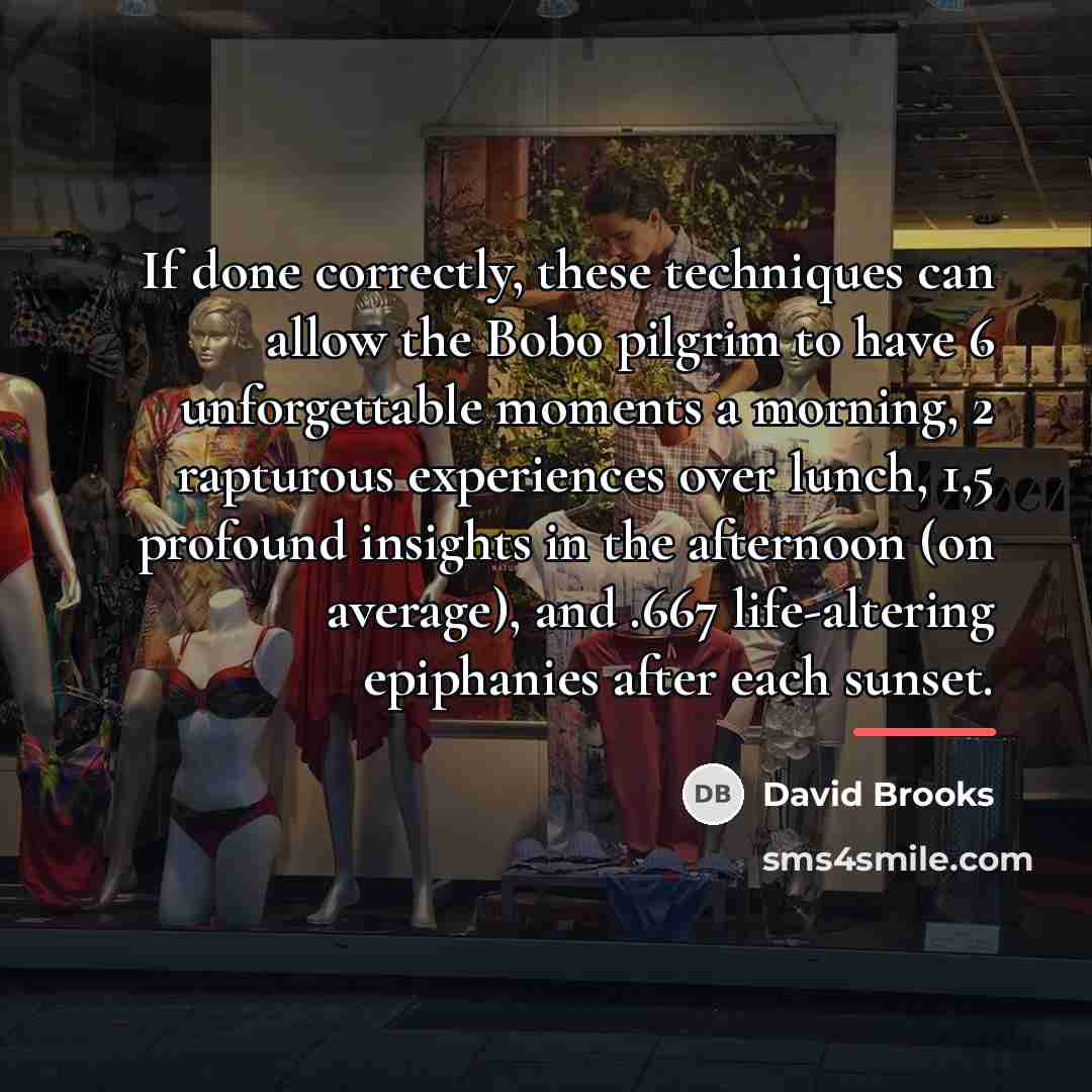 “If done correctly, these techniques can allow the Bobo pilgrim…” quote by David Brooks