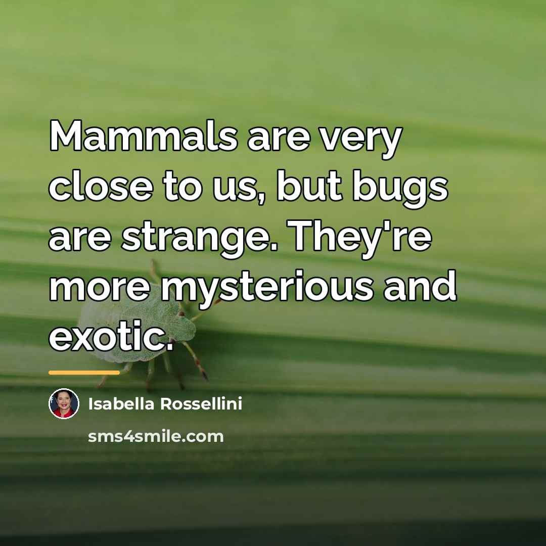 “Mammals are very close to us, but bugs are strange.…” quote by Isabella Rossellini