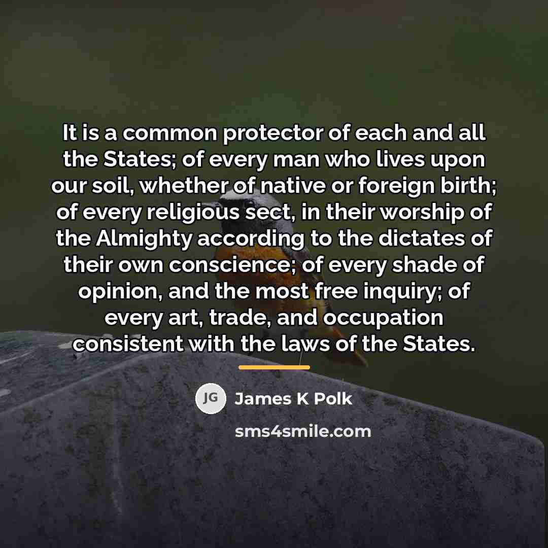 “It is a common protector of each and all the…” quote by James K Polk