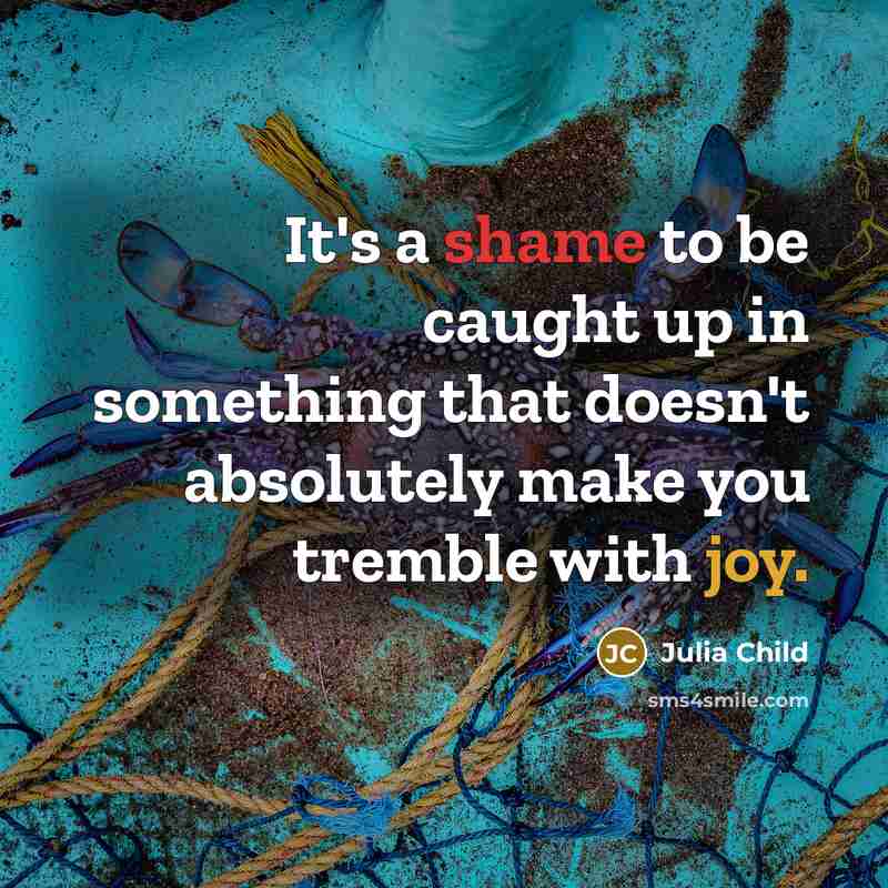 “It's a shame to be caught up in something that…” quote by Julia Child