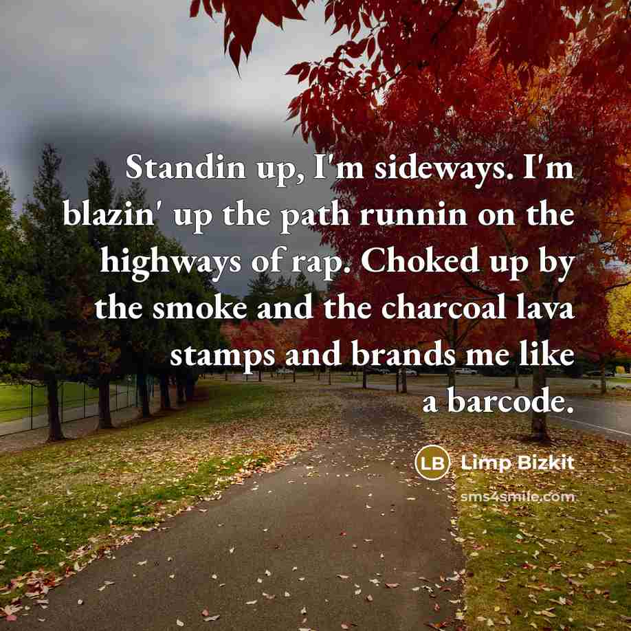 “Standin up, I'm sideways. I'm blazin' up the path runnin…” quote by Limp Bizkit