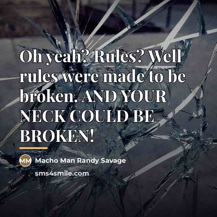 “Oh yeah? Rules? Well rules were made to be broken.…” quote by Macho Man Randy Savage