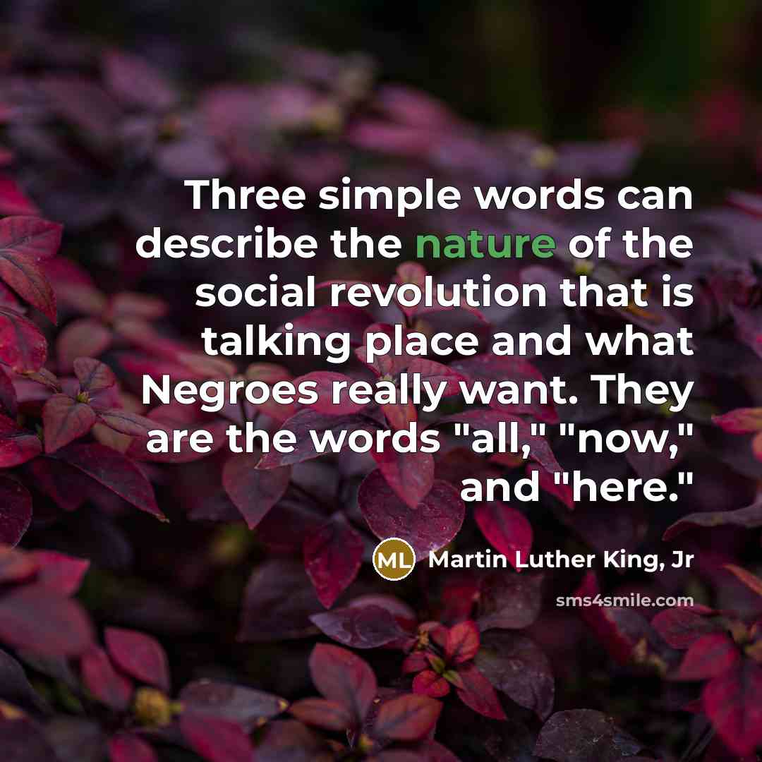 “Three simple words can describe the nature of the social…” quote by Martin Luther King, Jr