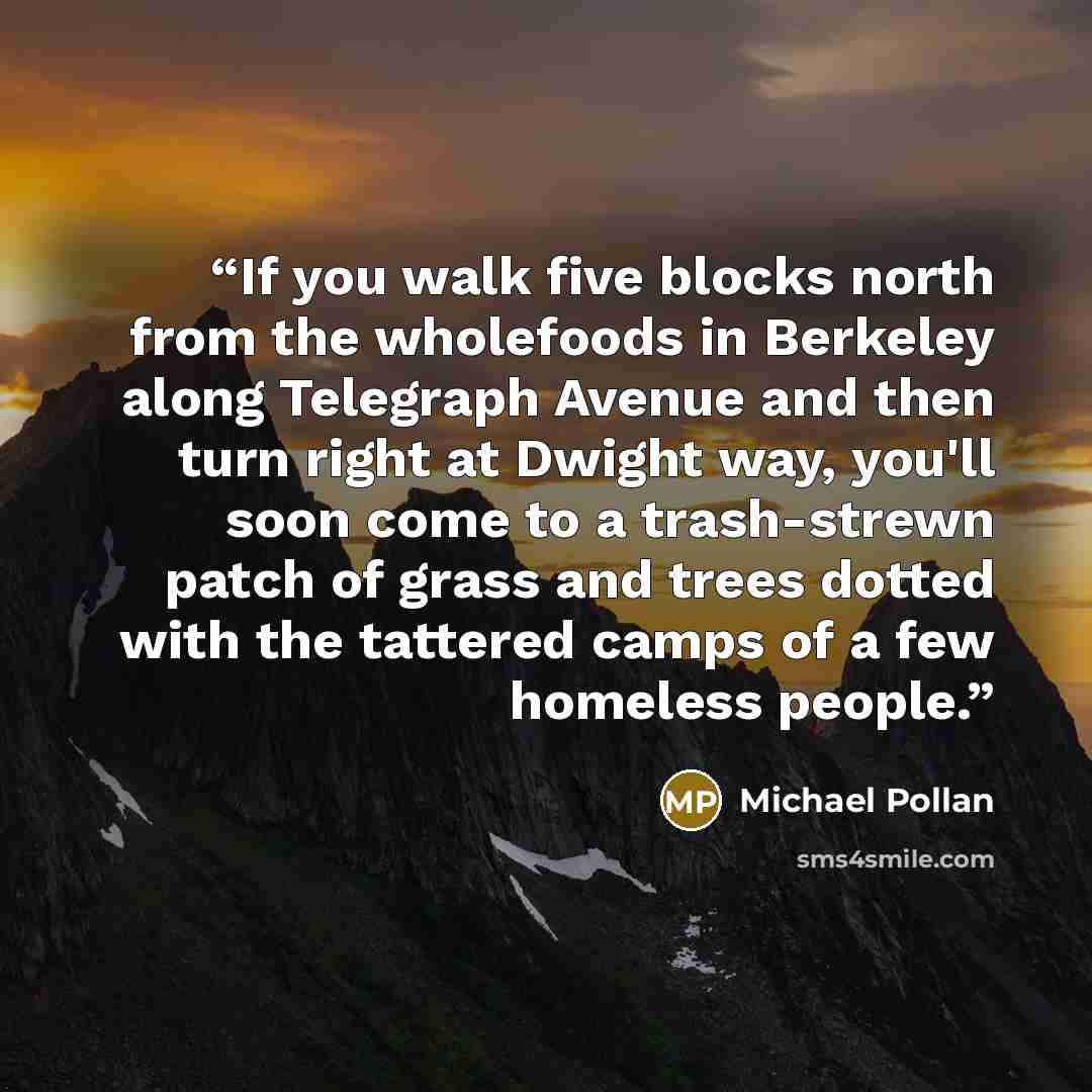 “If you walk five blocks north from the wholefoods in Berkeley along Telegraph Avenue and then turn right at Dwight way, you'll soon come to a trash-strewn patch of grass and trees dotted with the tattered camps of a few homeless people.” quote by Michael Pollan