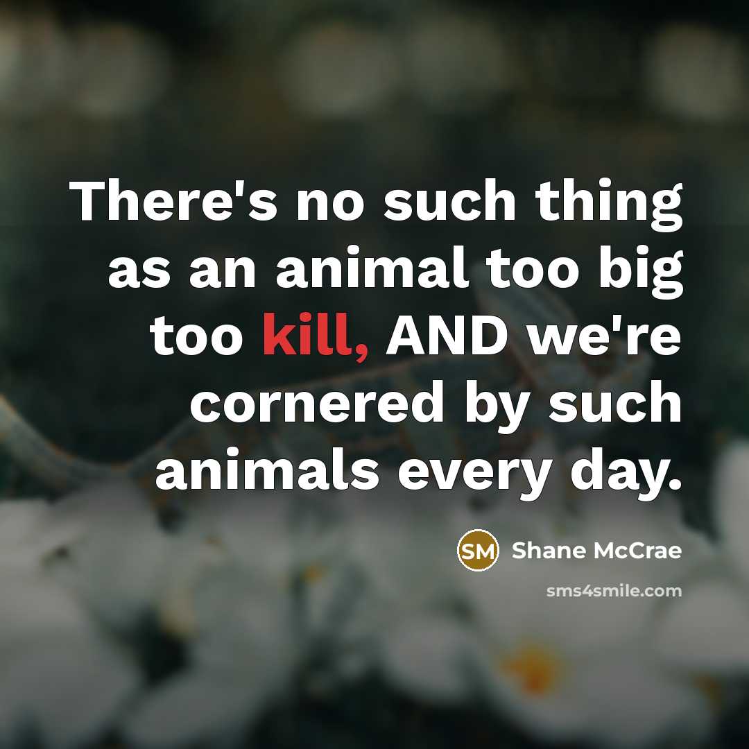 “There's no such thing as an animal too big too…” quote by Shane McCrae